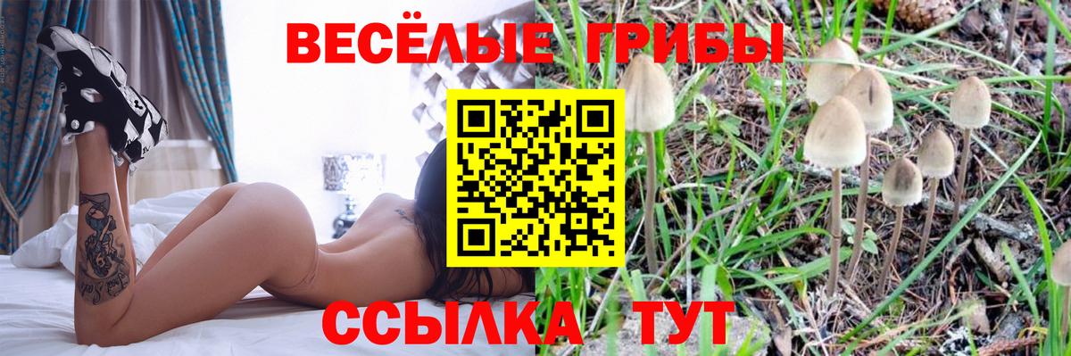 Галлюциногенные грибы прущие грибы  Вход с VPN  Псилоцибиновые грибы Magic Shrooms  цены   Артём 
